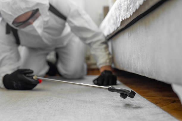 Professional Cockroach Control technician working in Warren, IN
